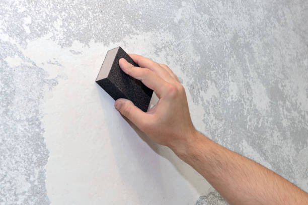 Reliable White Center, WA Mold Removal Solutions