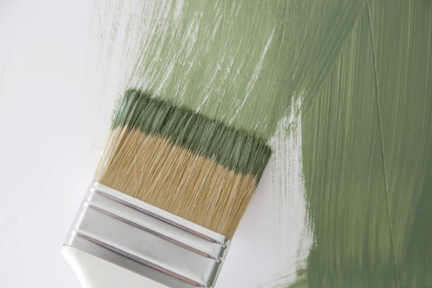 Best Mold Odor Removal Services  in White Center, WA