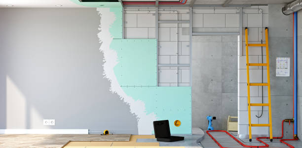 Best Post-Construction Mold Inspection  in White Center, WA
