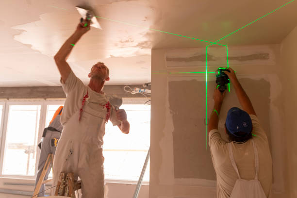 Best Basement Mold Removal  in White Center, WA